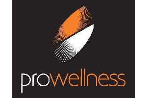 prowelness logo